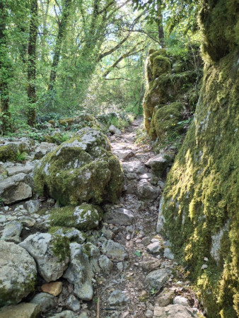 Sentier de la Pierre , bien fourni !